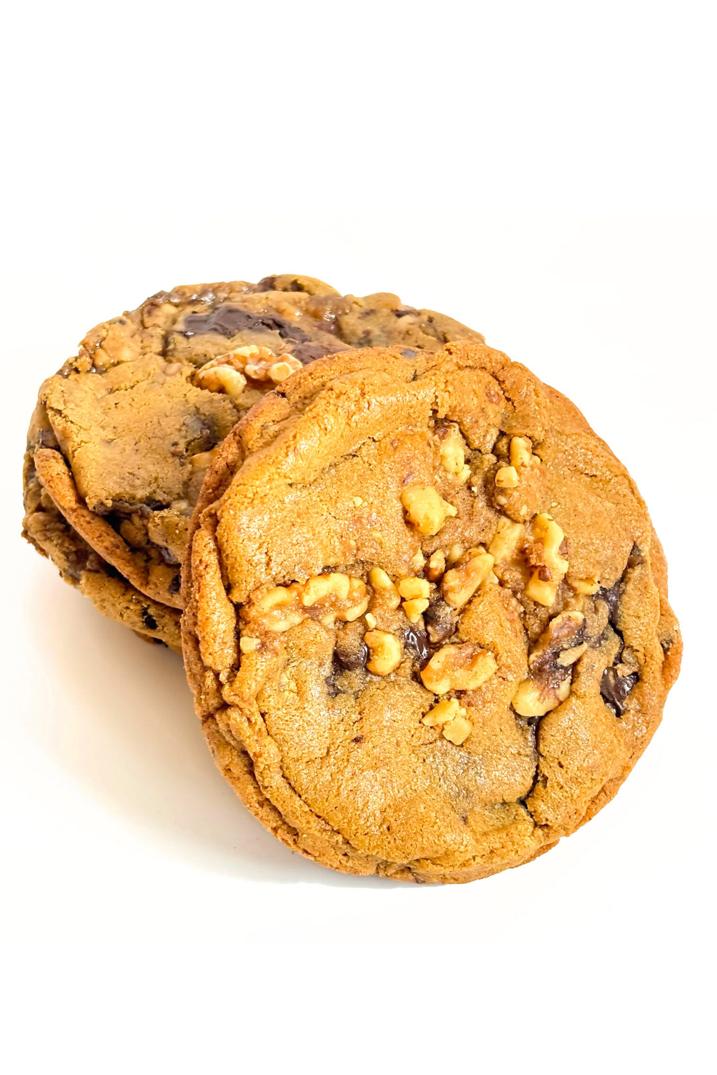 CHOCOLATE + WALNUT